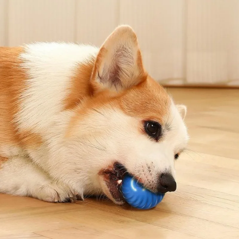 Pelota automática para perros que salta, gira y es recargable USB - imagen 5