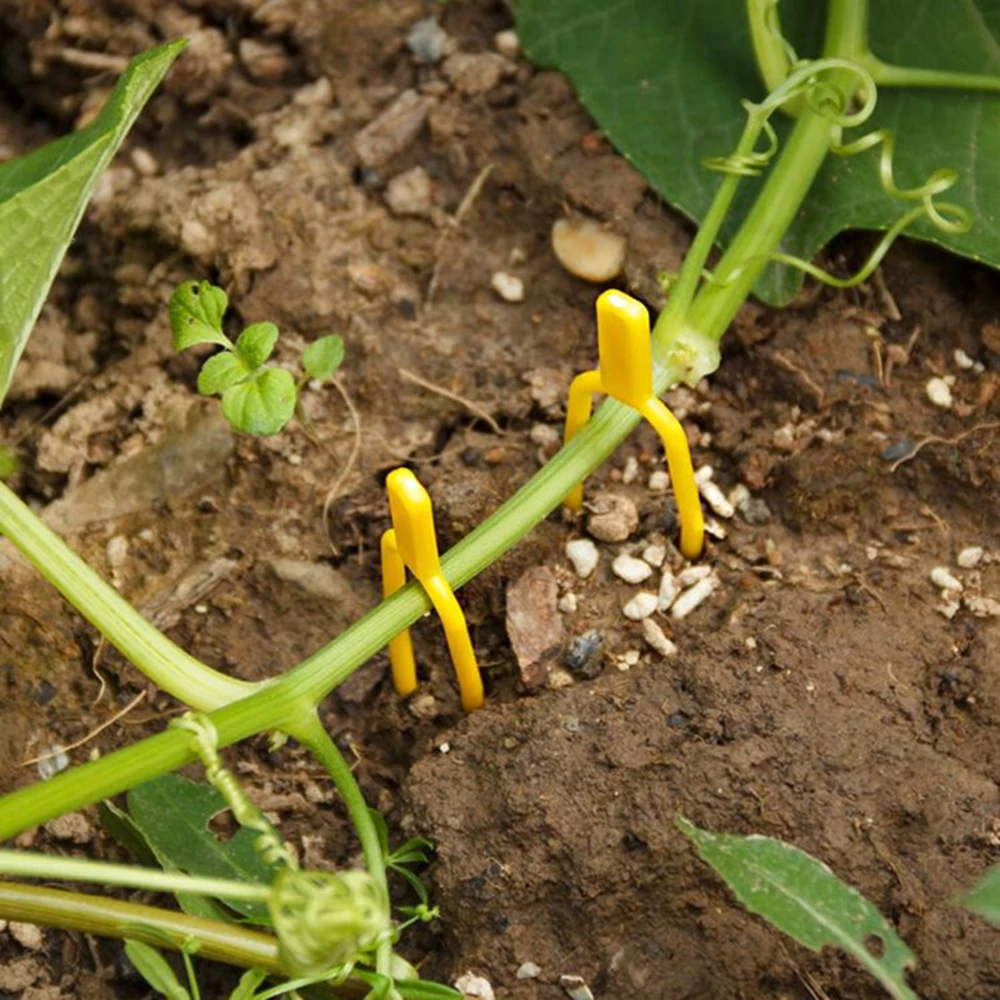 100 Uds. Tenedor para plantar fresas, equipo hortícola para el hogar, soportes para plantas y equipo de protección, soportes para jaulas para plantas - imagen 5