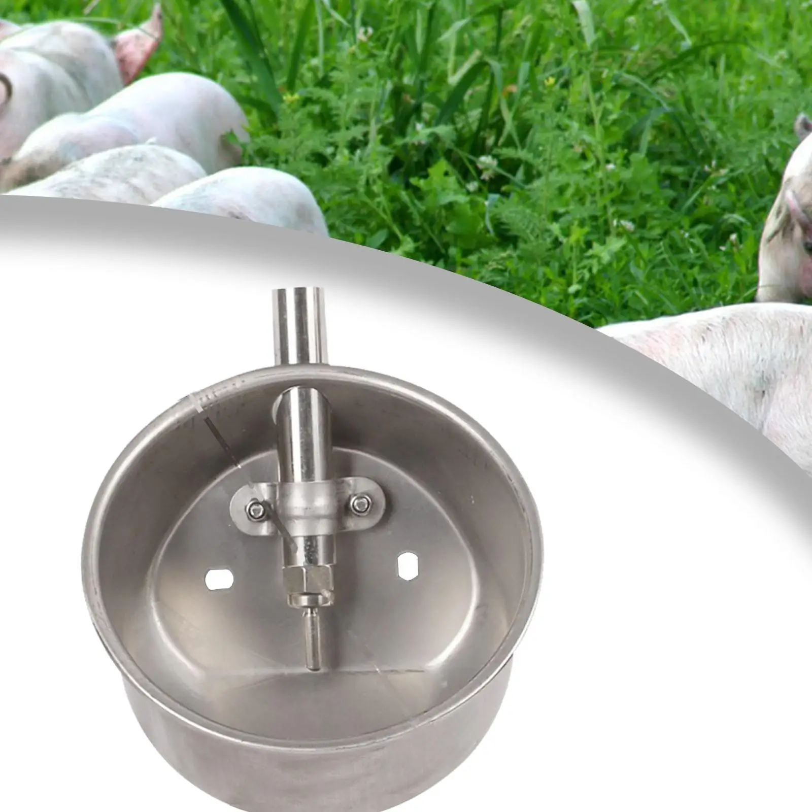 Automatic Pig Waterer Water Trough Piglets Drinking Bowl Pig Water Bowl Stainless Steel for Animals Piglets Pig Livestock