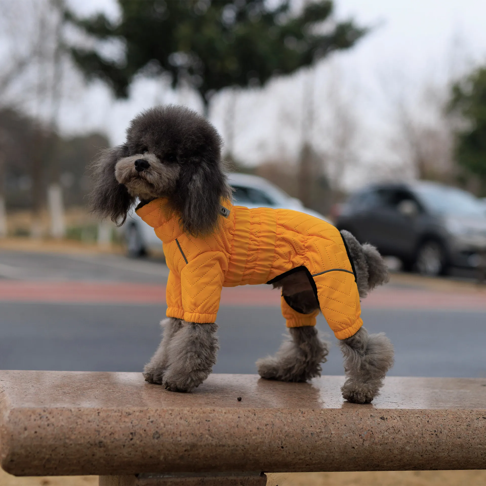 Nueva ropa de algodón impermeable para perros, chaqueta cálida para mascotas, productos para mascotas a prueba de viento gruesos de invierno - imagen 2