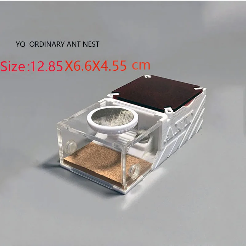 YQ normal ant nest