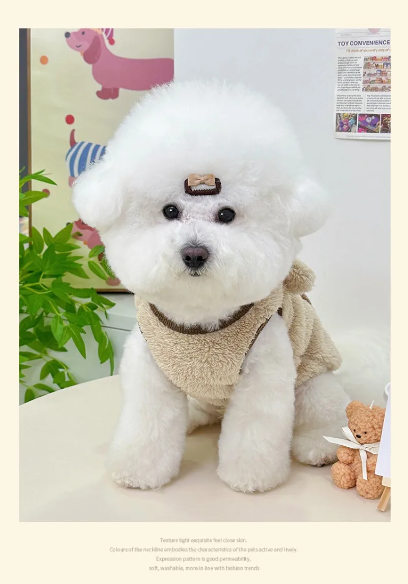 hmqViviiyNSAyin9WuaTt6vZ3MnMX9jeOee+