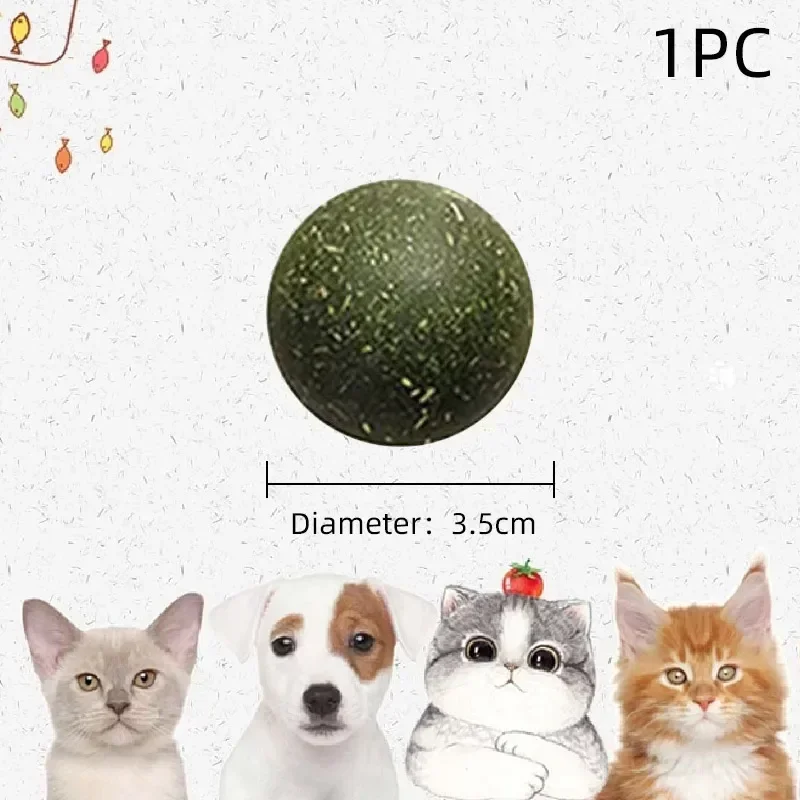 Diferentes gatos disfrutando los juguetes