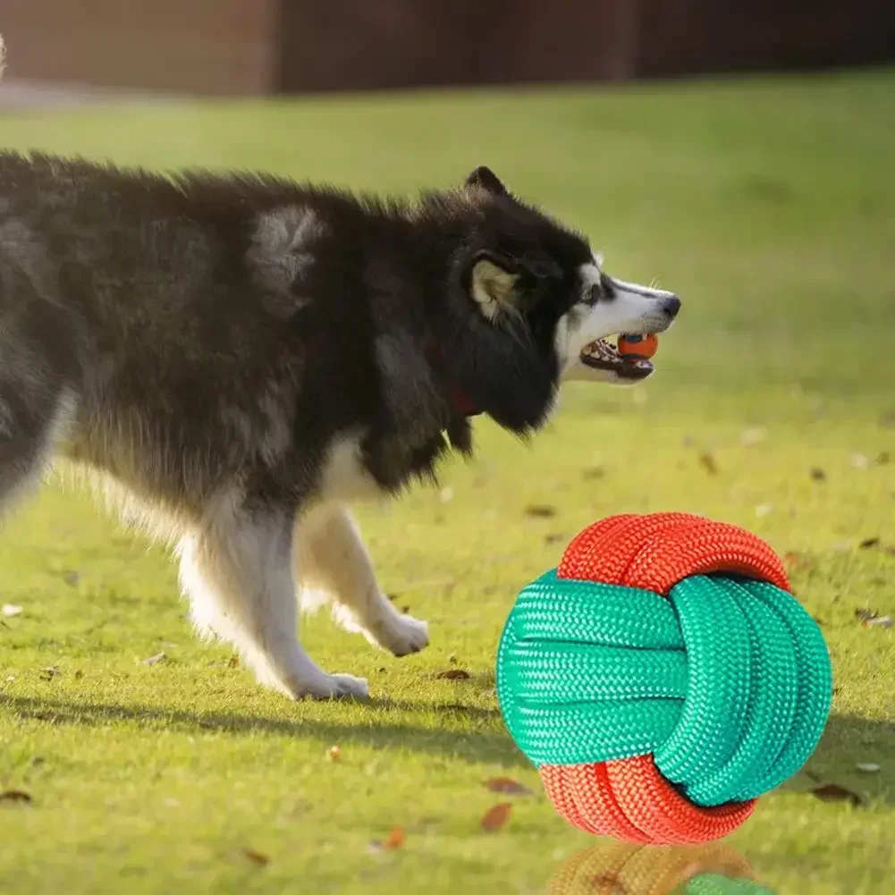 Juguete para masticar para perros, resistente a mordeduras, interactivo, de algodón, para rechinar los dientes, cuerda para perros, bola con nudo, accesorios para mascotas, 1 ud. - imagen 4
