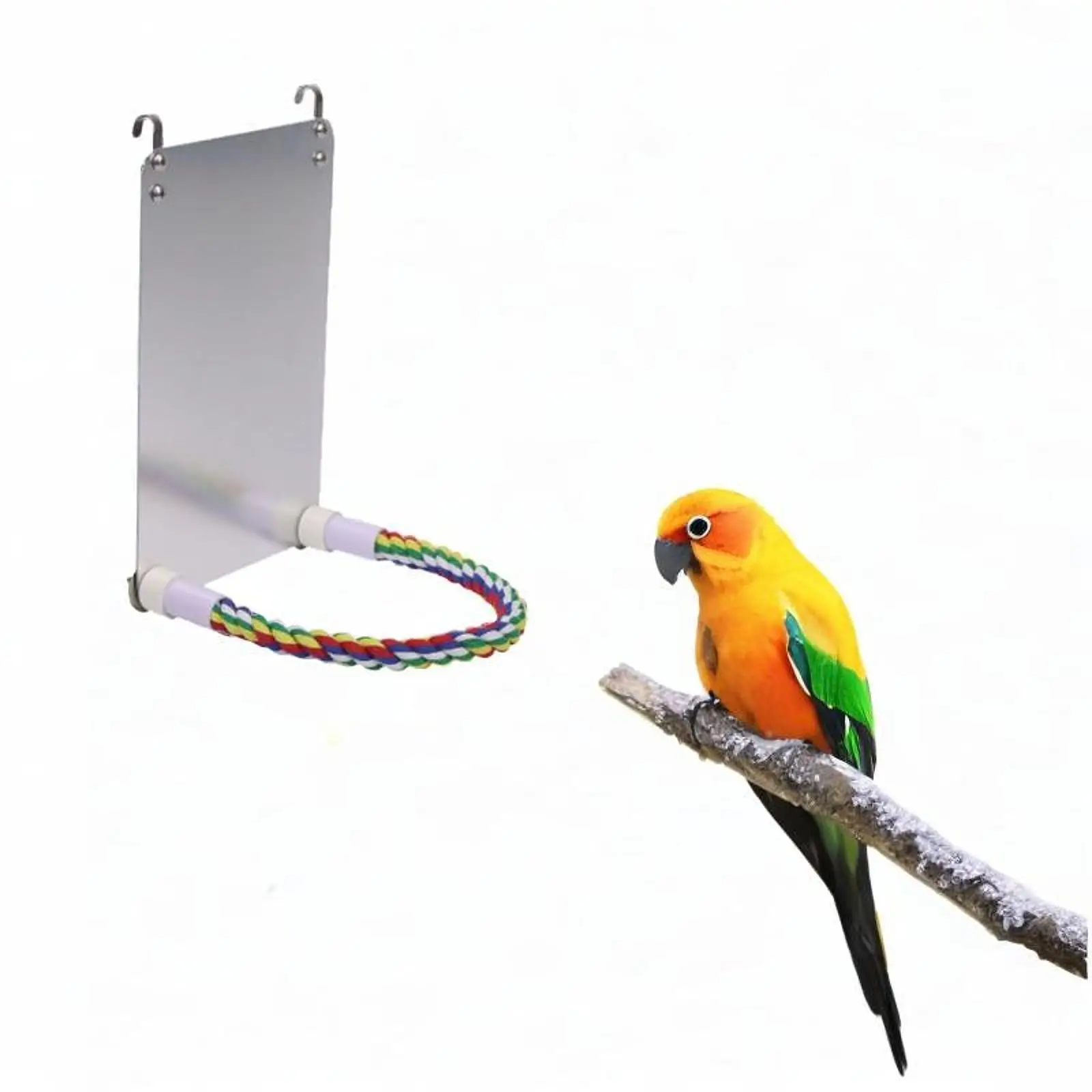 Bird Mirror for Parrots Hanging Bird Perch for Lovebirds Parakeet Cockatiels Bird Mirror for Parrots Hanging Bird Perch for Lovebirds Parakeet Cockatiels