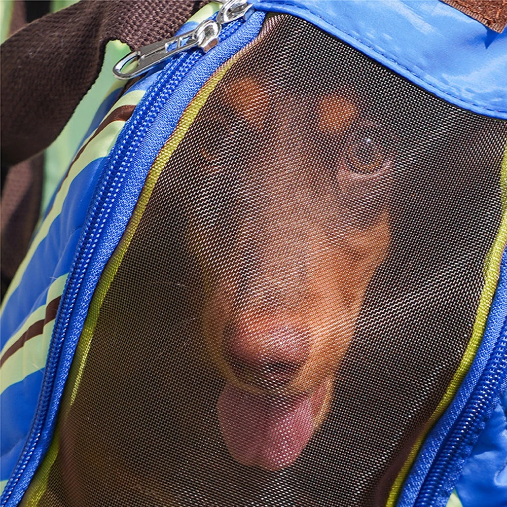 Bolsa bandolera transpirable para perros pequeños – Transportín portátil - imagen 4