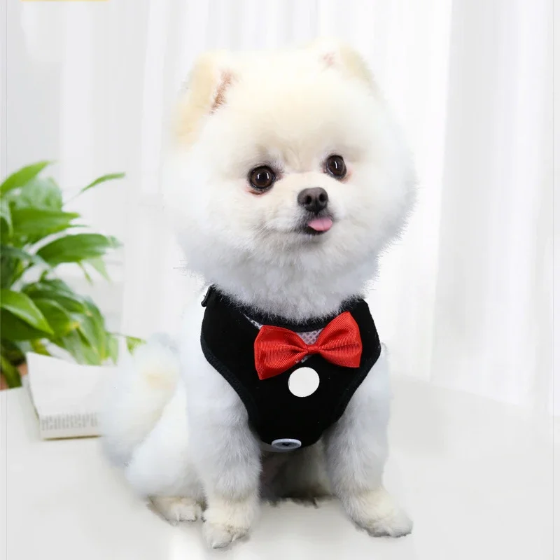 Collares para perros con lazo elegante, corbata, cuerda de tracción, arnés navideño para mascotas para perros pequeños y medianos, correa para el pecho para gatos, accesorios para perros, regalos - imagen 4