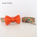 Bow Tie Collar Leash