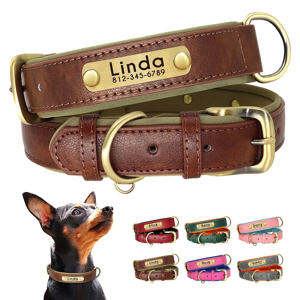 Collar de cuero personalizado para perros, collares acolchados suaves para perros, Collar de identificación personalizado para mascotas, nombre grabado gratis, pata para perros pequeños y medianos, Pug