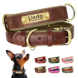 Collar de cuero identificativo para perros – Nombregrabado