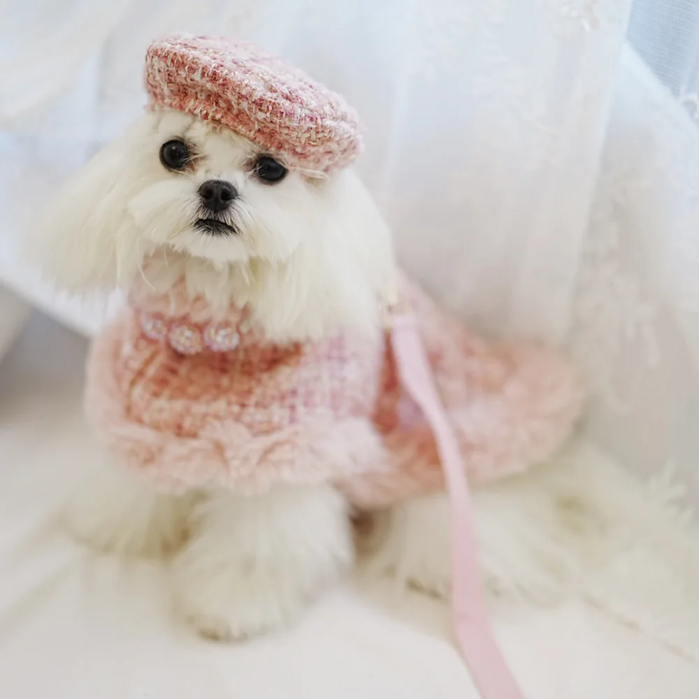 Perro mediano usando capa navideña en entorno nevado