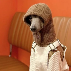 Suéter de lana para perros pequeños – Bichón, Maltés y Shih Tzu