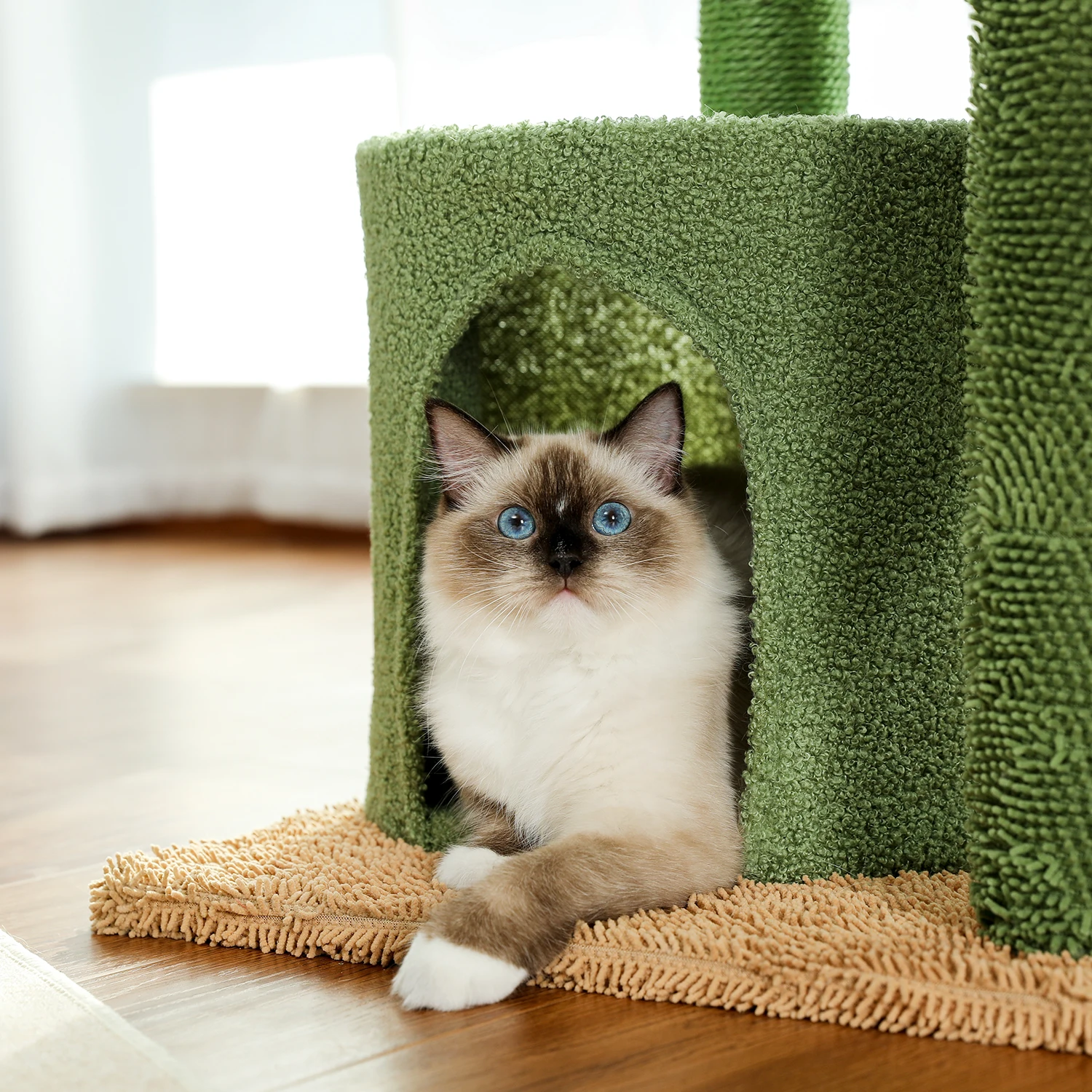 Árbol para gatos con cactus, torre para gatos con tumbona, condominio espacioso, perchas superiores, poste rascador de Sisal Natural, muebles para gatos, juguetes para gatos - imagen 2