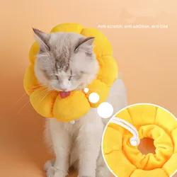 Collar isabelino para gatos y perros - protección postoperatoria