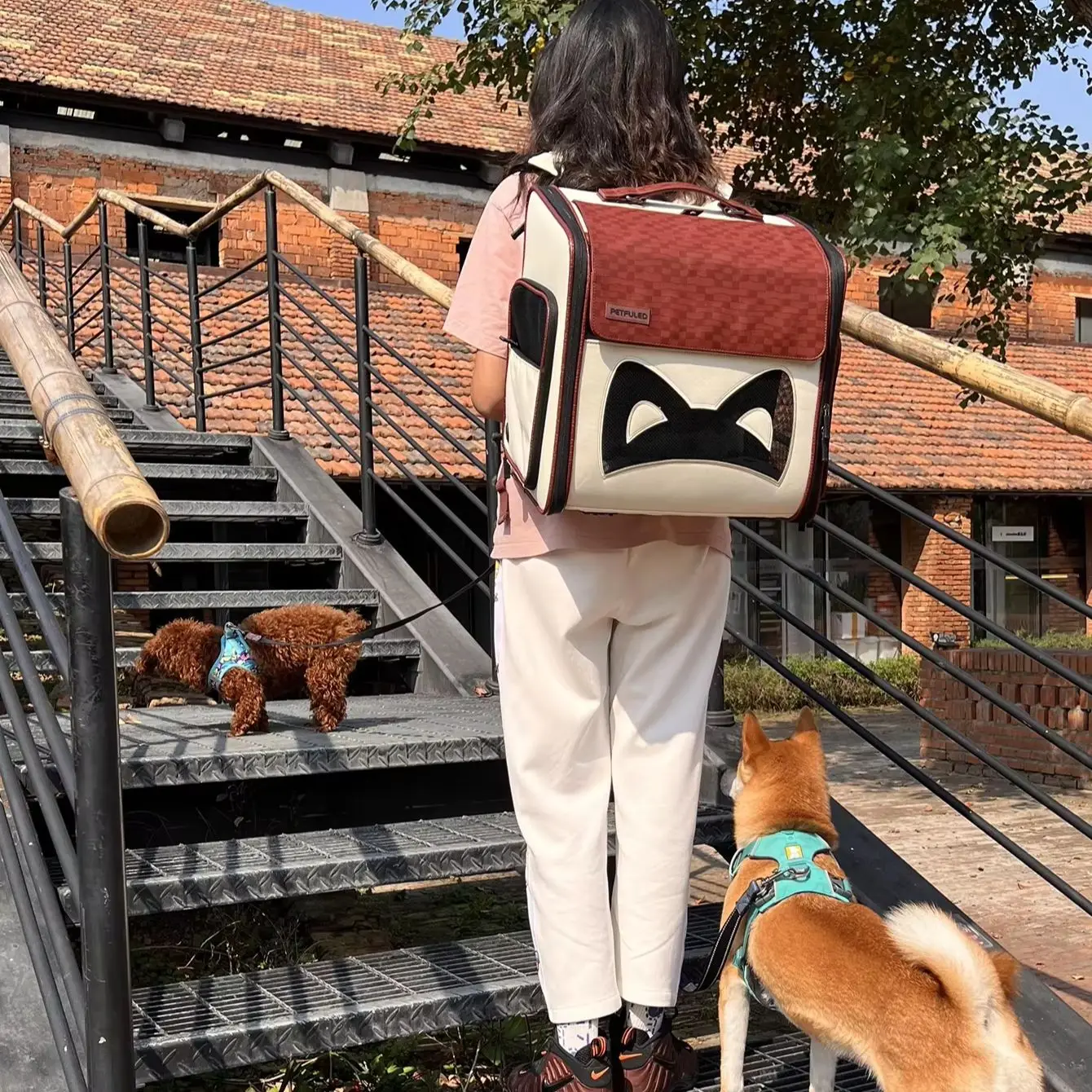 PEDFULED Mochila expandible para mascotas de cuero PU premium Aberturas laterales de doble cara, panel trasero expandible Ideal para gatos y perros pequeños - imagen 2