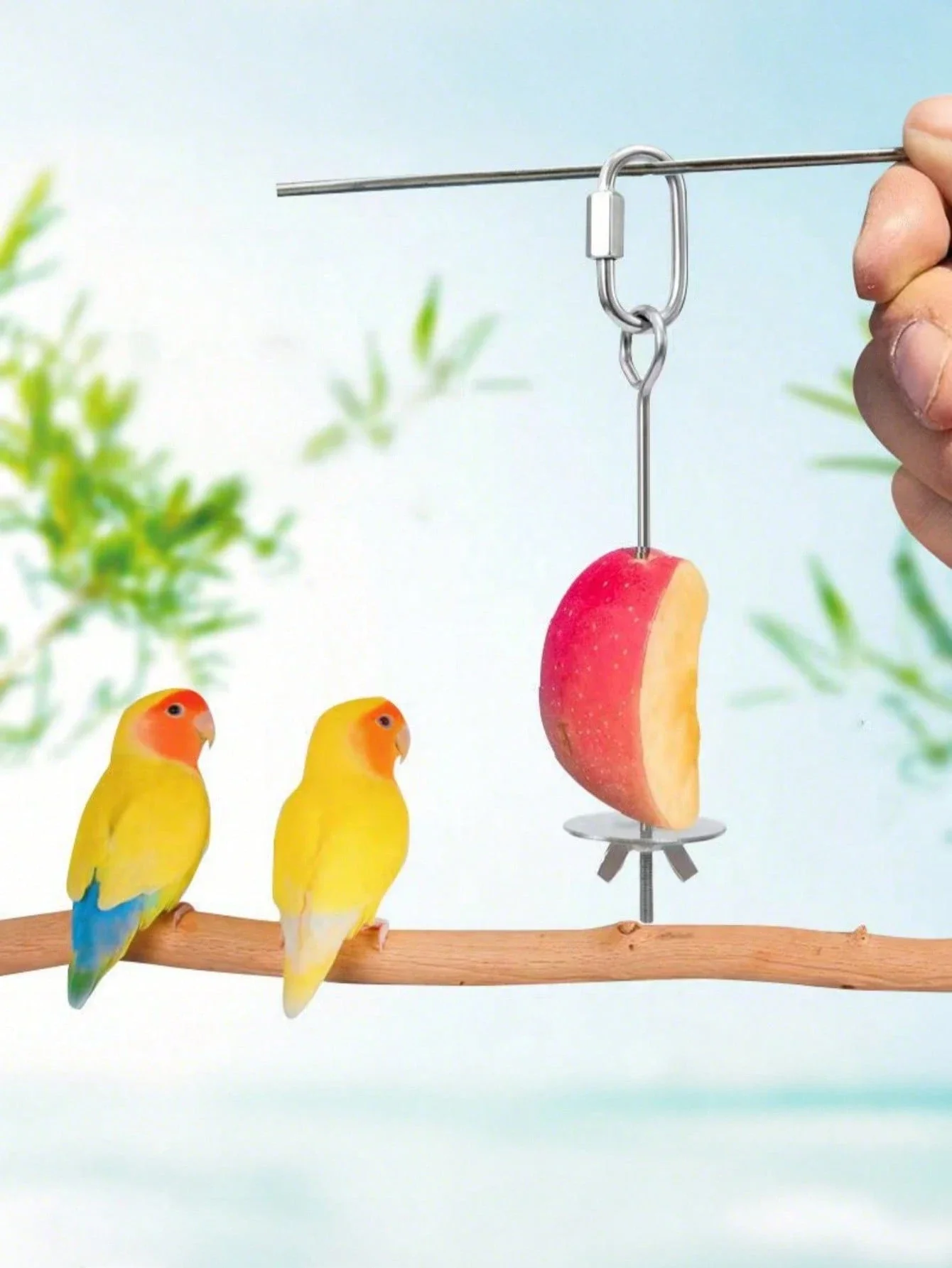 Tenedor fruta acero inoxidable loro – pincho Fruits para jaula - imagen 5