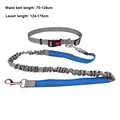 BU dog leash A