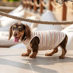 Camiseta arcoíris de algodón para perro salchicha, verano
