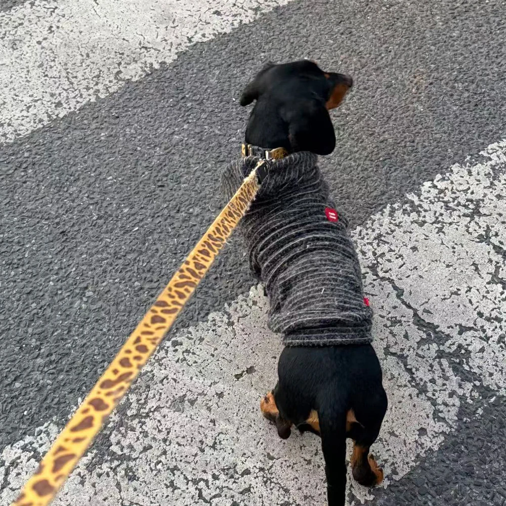 Abriguo con capucha para Dachshund y perros pequeños