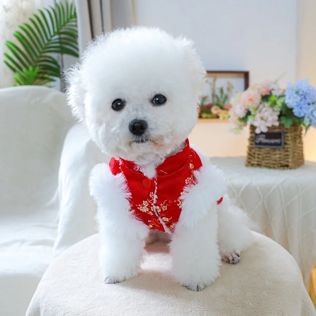 Ropa de invierno para perros chinos, danza del león Vintage, abrigos personalizados para gatos esfinge, sin mangas, Cheongsam cálido para cachorros y niñas - imagen 2