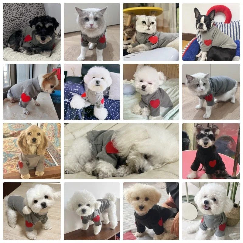 Sudaderas con capucha para perros a la moda, ropa de otoño para perros pequeños, suéter bonito y sólido para cachorros, sudaderas con capucha suaves para gatos, sudadera para mascotas, ropa para Chihuahua - imagen 2