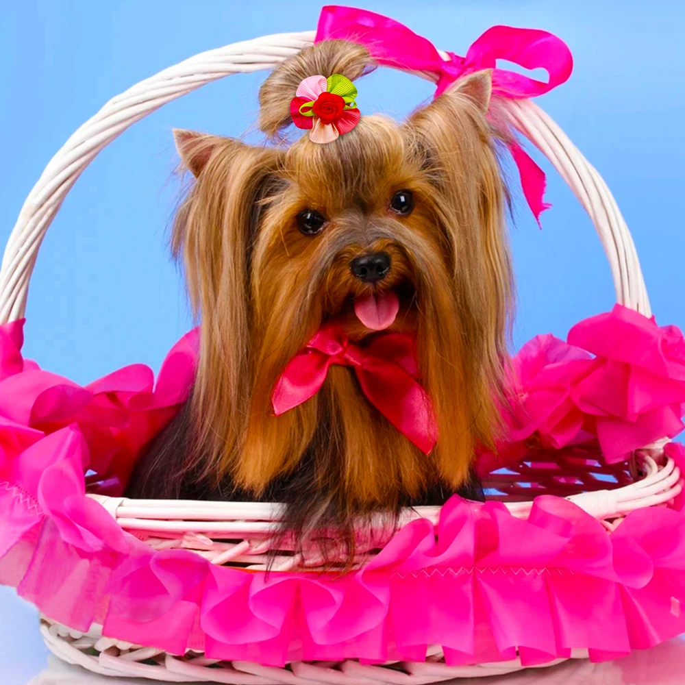 Bandas elásticas decorativas para cachorros – Moños de peluquería canina - imagen 3