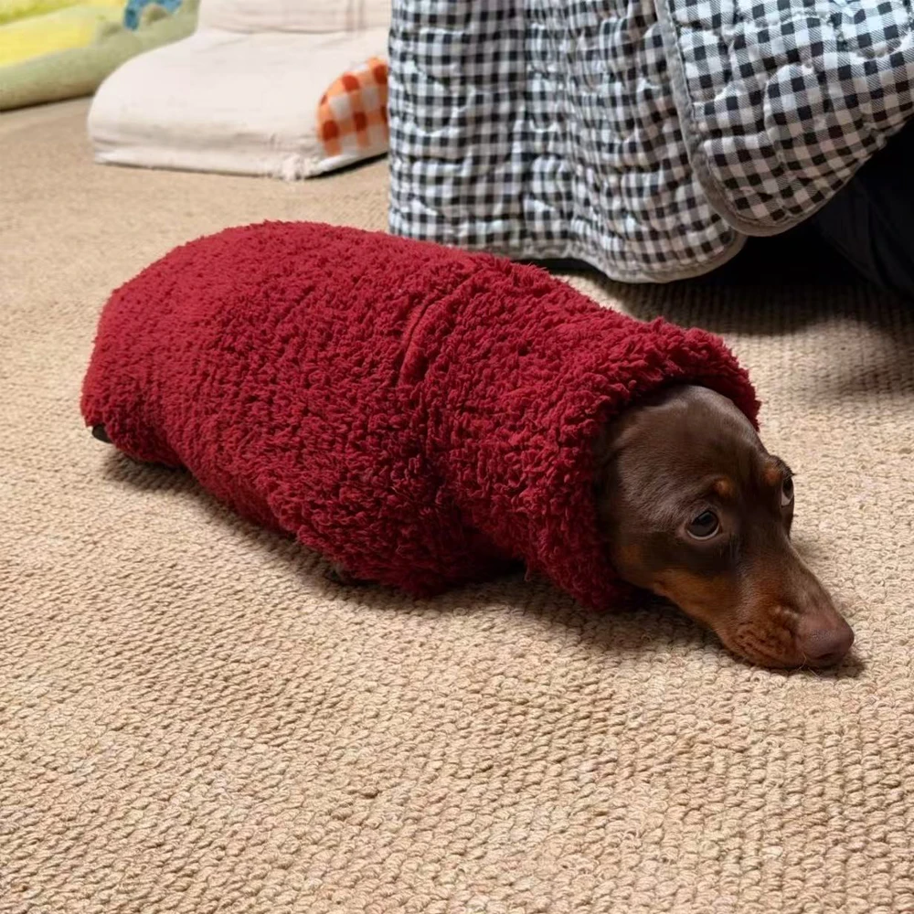 Abrigo rojo de cuello alto para perros dachshund - Chaqueta cálida - imagen 4