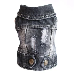 Chaqueta vaquera para gato esfinge – abrigo primavera otoño
