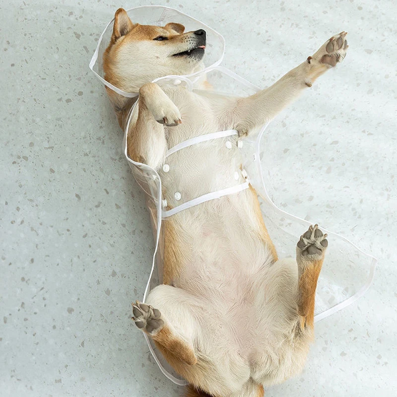 Chubasquero para mascotas, ropa impermeable transparente para perros pequeños, medianos y grandes, Poncho de lluvia para cachorros, suministros para mascotas, ropa impermeable para perros - imagen 4