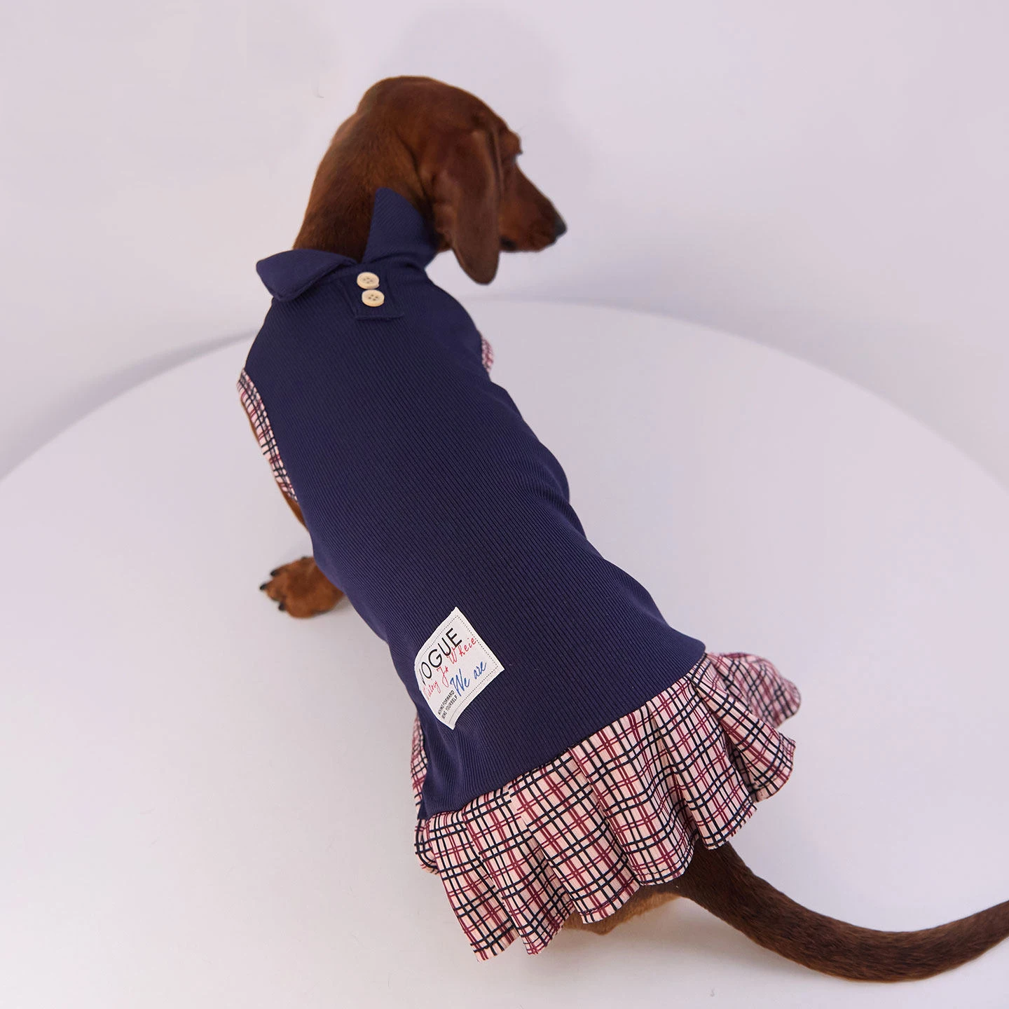 Vestido azul para perro salchicha – Colección preppy - imagen 5