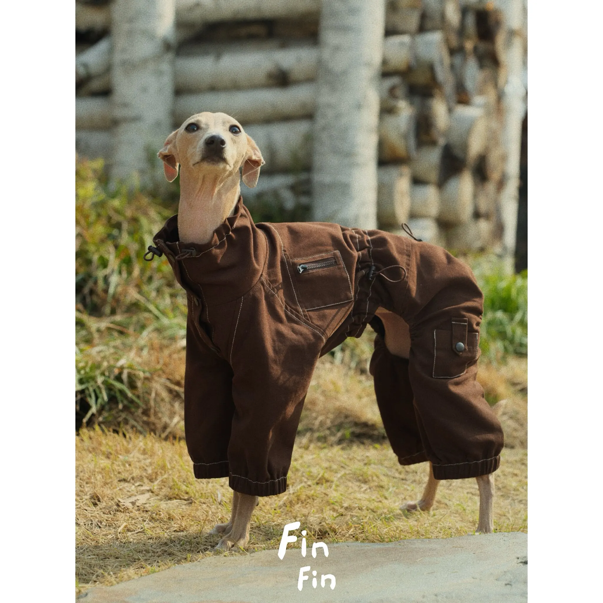Chaqueta para galgo italiano Whippet cuello alto ajuste