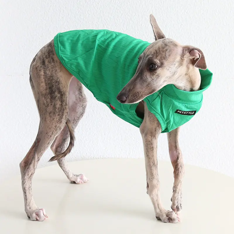 Chaqueta ligera para Whippet y Galgo Italiano – protección solar