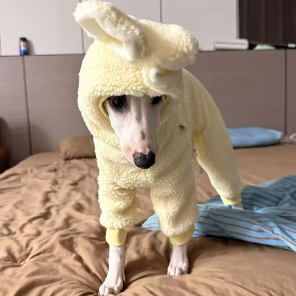 Ropa para perros: capucha y orejas de conejo para galgo italiano - imagen 4