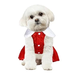 Disfraz Papá Noel para perros y gatos – Estilo navideño