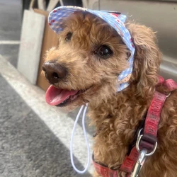 Gorra solar para perros pequeños con orejas perforadas - kawaii
