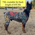 7XL