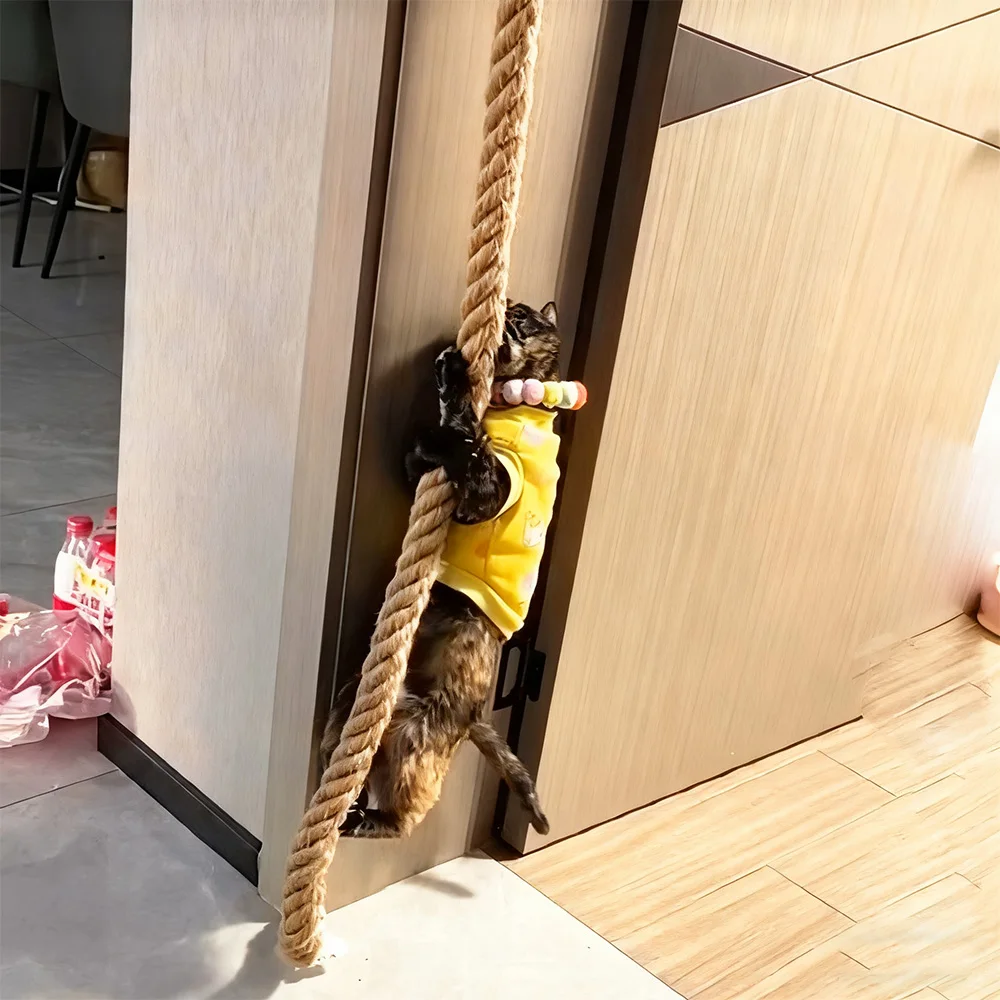 Escalador de cuerda de sisal para gatos montado en la pared con plataforma para rascar Accesorio duradero para actividades de gatos para escalar y rascar gatos - imagen 3