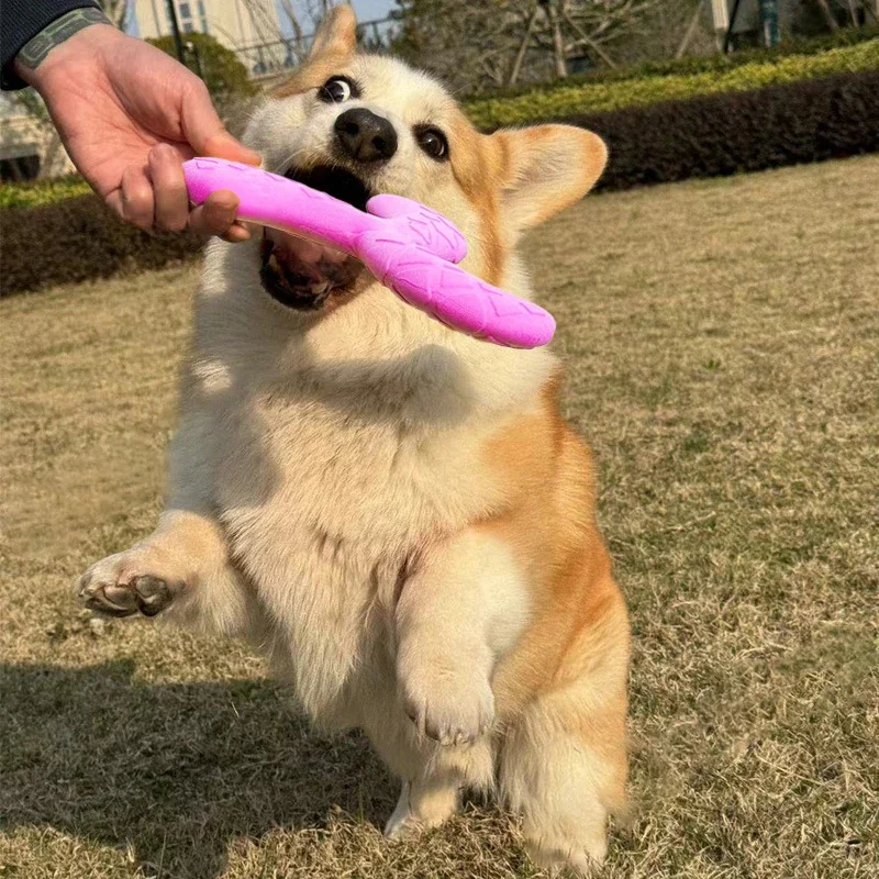 Discos voladores, juguete de entrenamiento para perros, piscina flotante, juguetes interactivos para perros, extractor resistente a masticar para perros pequeños y medianos - imagen 2