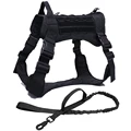 BK Harness and Leash