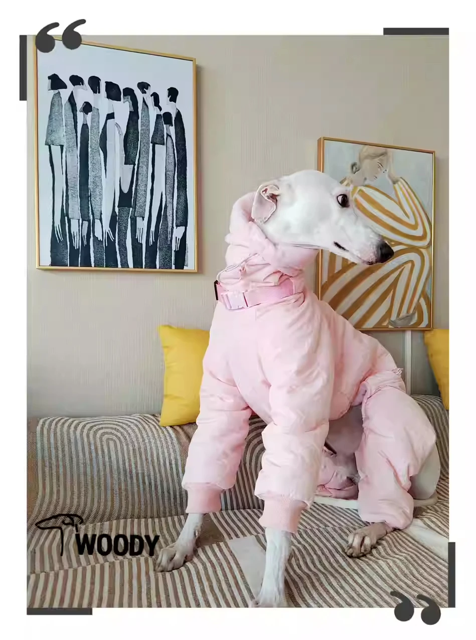 Ropa rosa de Whippet para niña, abrigo acolchado con cuello de tortuga para perro, Chaqueta de algodón ajustable cálida para galgo italiano, invierno - imagen 4