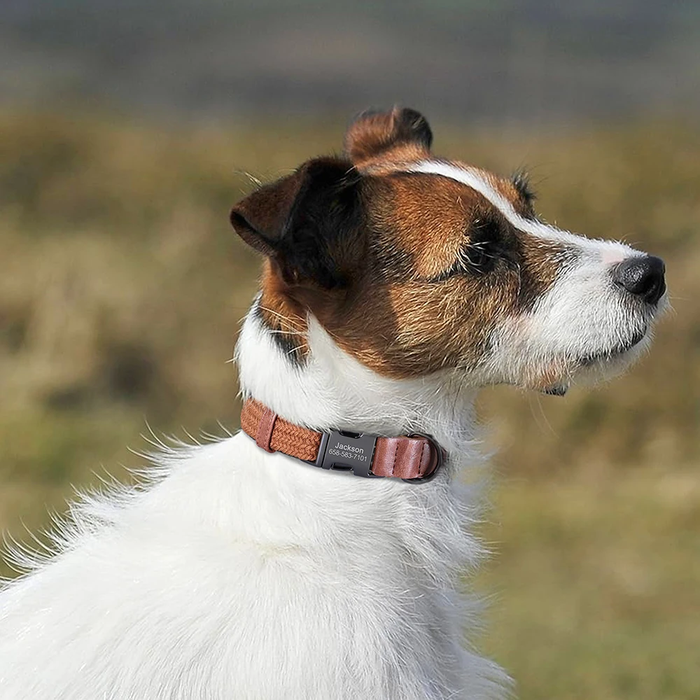 Collar personalizado para perro ajustable de nailon con nombre grabado - imagen 5