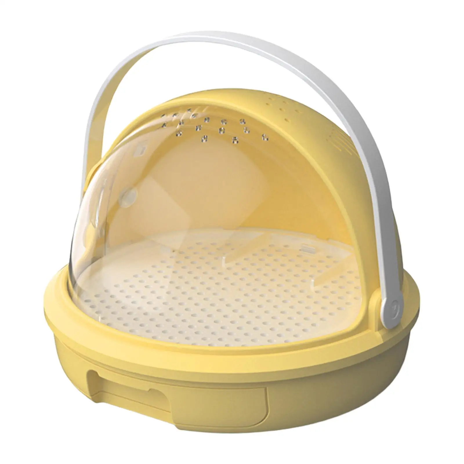 Silkworm Breeding Box Versatile Sturdy Boys Ventilated Holes Learning Feeding Box