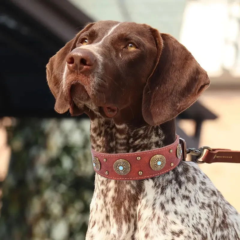 Collares para perros grandes y medianos con remache, Collar para perros con tachuelas ajustables, Collar ancho de cuero PU con pinchos Vintage - imagen 3