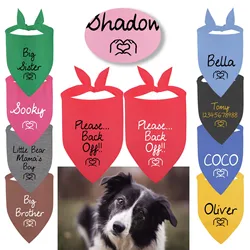 Pañuelo y collar personalizados para perros y gatos con nombre