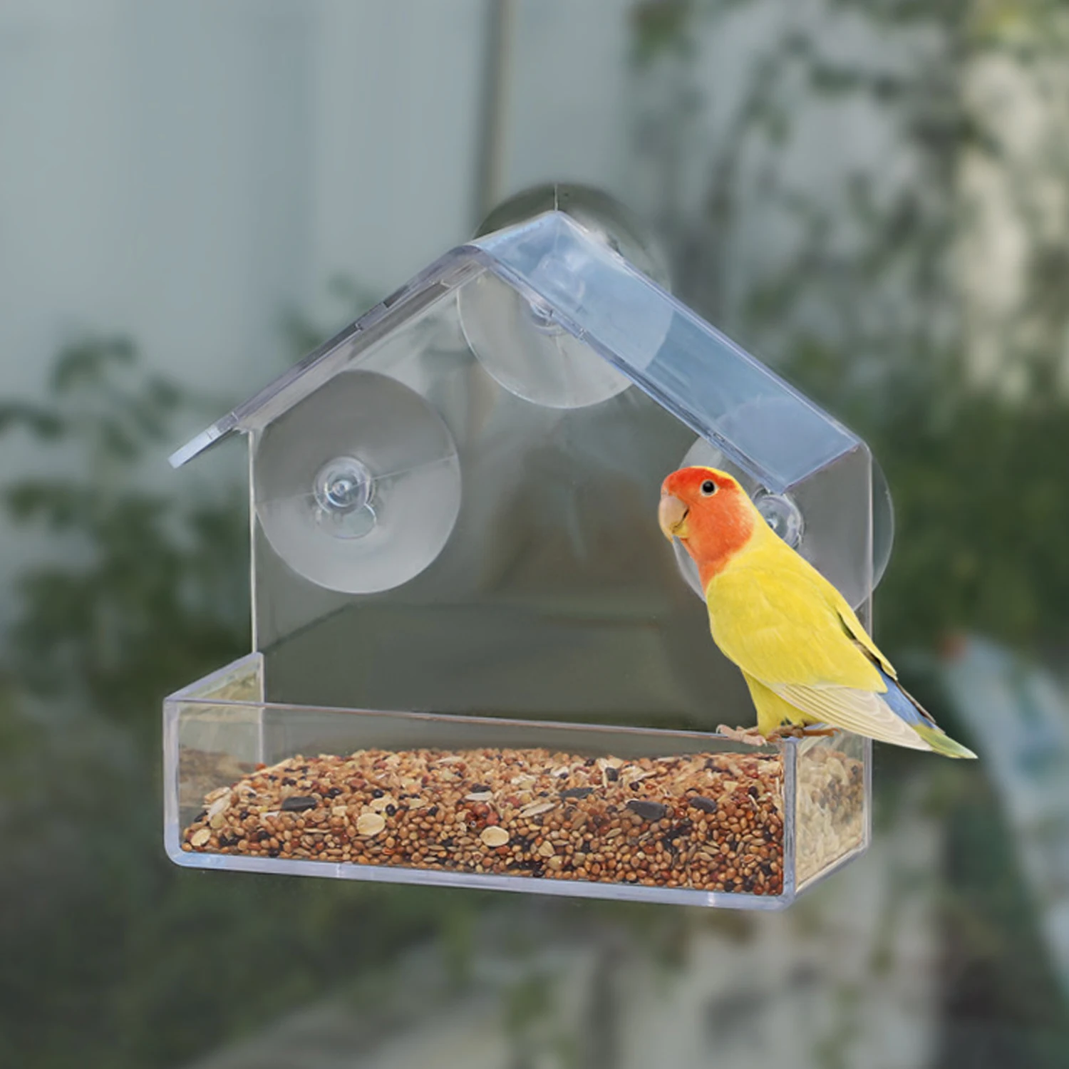 Casa con ventana transparente, comedero para pájaros salvajes, ventosas extraíbles para exteriores, bandeja de alimentación automática deslizante para pájaros para jardín, Patio - imagen 3