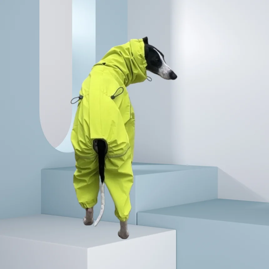 Chubasquero impermeable para perros galgo italiano y Whippet - imagen 5
