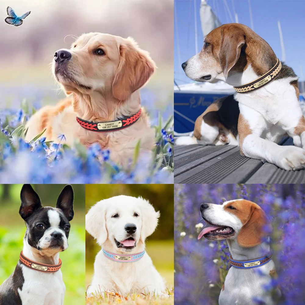 Collar de perro personalizado, collares trenzados acolchados de cuero PU para perros, grabado gratis, etiqueta de identificación para mascotas, placa con nombre para perros pequeños, medianos y grandes - imagen 5