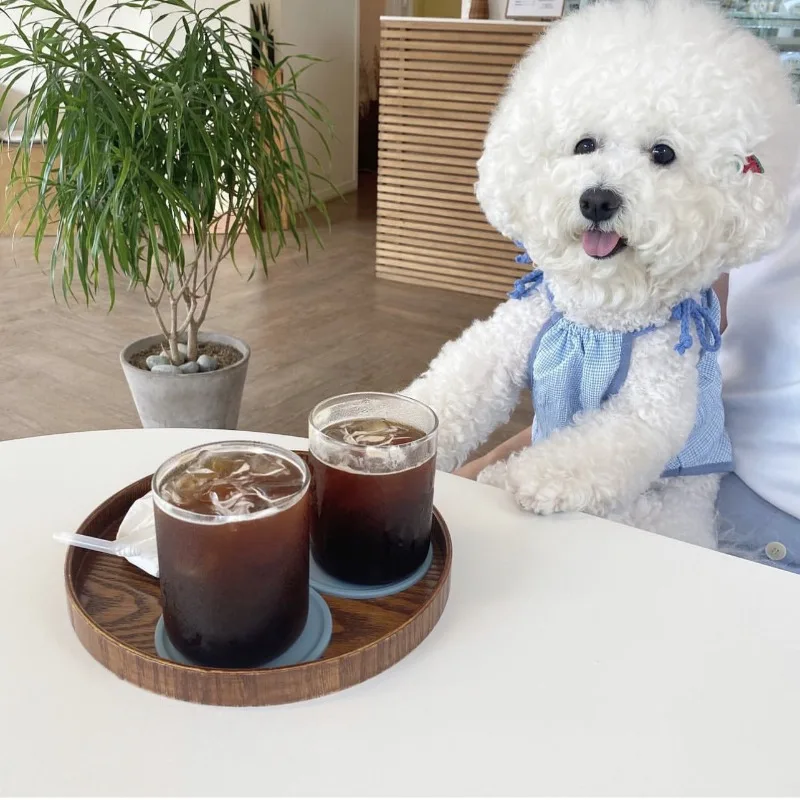Ins lindo bonito a cuadros tirantes para perros mascota perro verano falda de encaje Teddy Pomeranian princesa falda cachorro lindo vestido de graduación - imagen 3