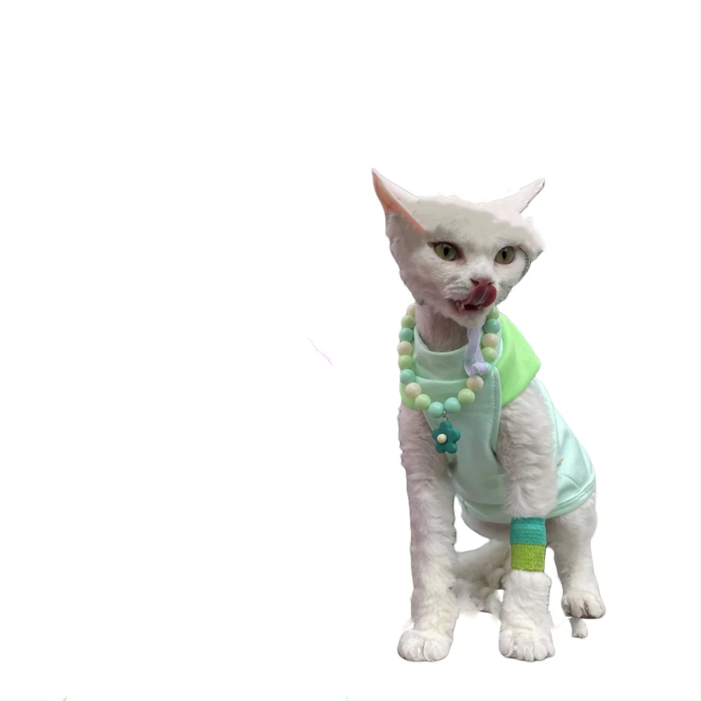 T-shirt and Necklace