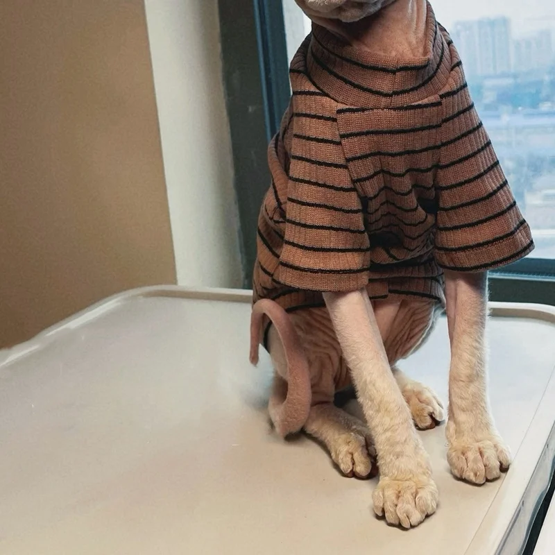Camiseta clásica de algodón a rayas para gato sin pelo Manga larga Abrigo de café suave para gato Sphynx Ropa de estar por casa para gatitos en primavera - imagen 5